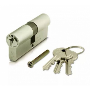 Iseo Double Euro Cylinder (8209)